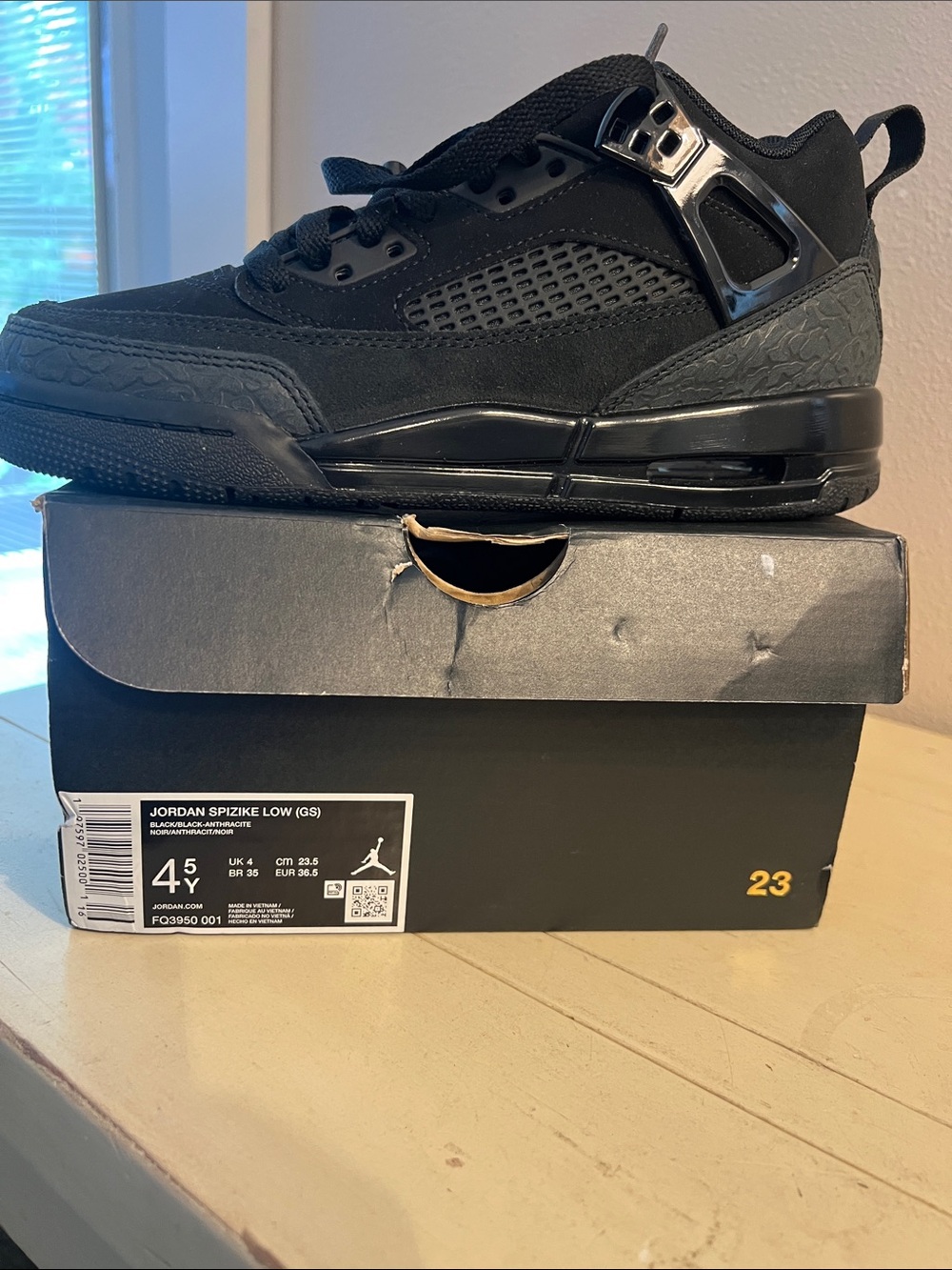 Jordan Spizike Low kids Black Sneakers